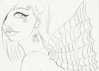 Spider web wings